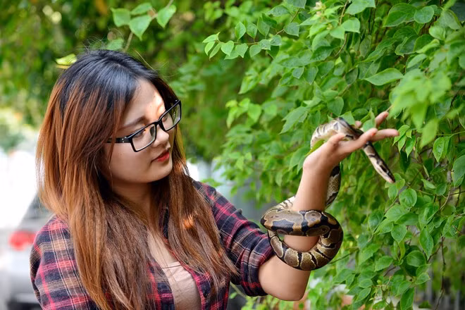 Nguyễn Trà My (sinh năm 1995), sinh viên khoa Xuất bản, Học viện Báo chí và Tuyên truyền. Cô có sở thích vui đùa cùng trăn, thậm chí hôn, ngậm nó trong miệng.