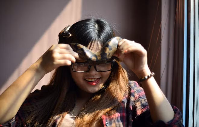 Bố mẹ ban đầu cũng từ chối không cho nuôi nhưng đến nay họ cũng chung sở thích cùng Trà My. Nguồn thức ăn chính của trăn là chuột bạch, tuy nhiên khá khó kiếm vì các shop bán đồ ăn cho bò sát khá xa nơi cô ở.