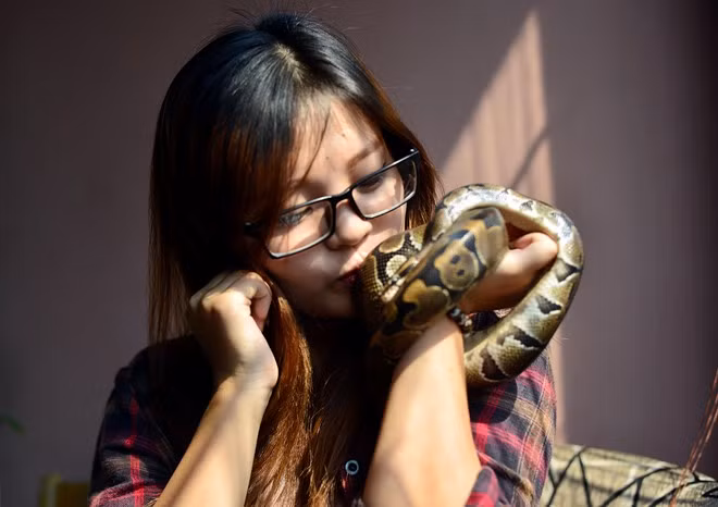 Trà My kể, có lần chú trăn chui vào hốc cửa cô tìm mãi mới thấy, trước đó cô đã khóc cạn nước mắt.