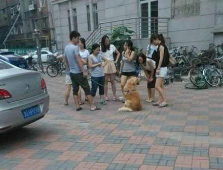 Một cách để thu hút các người đẹp.