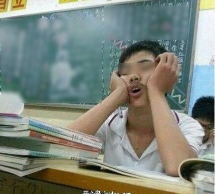 Tranh thủ làm giấc.