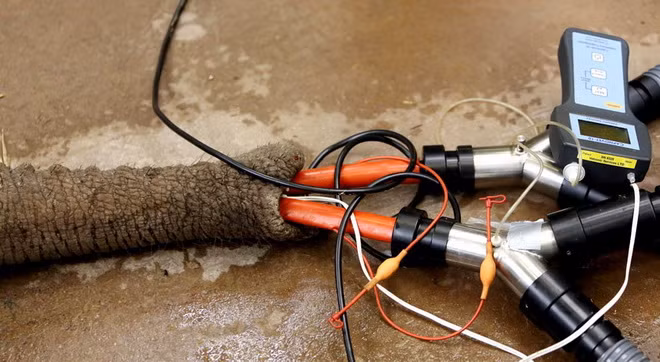 Đặt thiết bị đặc biệt vào vòi voi.