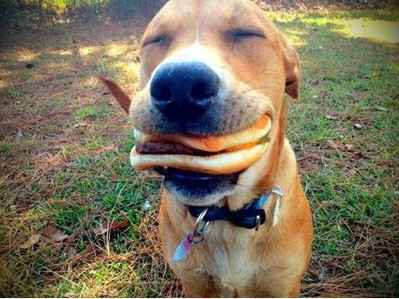 Hóa ra cụm từ "ăn ngập mồm" xuất phát từ bức ảnh này.