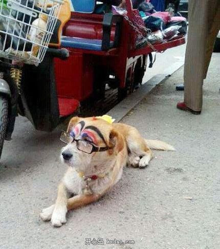 Trông ngóng mãi mà không thấy chàng đi qua lối này.