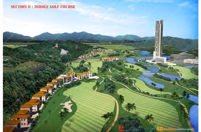 Có khối tài sản kếch xù hàng nghìn tỷ đồng nhưng có vẻ Công ty Việt Hân đang cạn vốn khi để hàng loạt dự án đắp chiếu. Hiện Công ty Việt Hân do ông Đinh Trường Chinh, làm Chủ tịch HĐQT, đang là chủ đầu tư của hàng loạt dự án lớn như Dream City (Phú Thọ), Castle Plaza (Hà Nội) hay Skypark Beach Long Điền (BR-VT)… Tuy nhiên những dự án này vẫn chây ì tiến độ xây dựng.