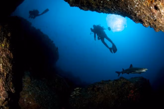 2. Đảo Cocos, Costa Rica: Đảo Cocos nằm cách đường bờ biển Thái Bình Dương của Costa Rica khoảng 483 km, được bao bọc bởi khu rừng nhiệt đới và hầu như không có người ở. Đây thực sự là điểm đến lý tưởng dành cho du khách yêu thích cá mập và lặn biển. Với những khung cảnh tuyệt đẹp dưới lòng đại dương cùng hàng ngàn sinh vật biển... chắc chắn Cocos sẽ không làm bạn phải thất vọng.