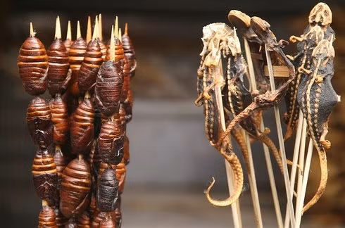 4. Ăn đồ ăn đường phố làm từ côn trùng Đây là đặc sản có thể thấy ở nhiều nước châu Á như Trung Quốc, Việt Nam... Nhiều loài côn trùng như dế, cào cào đều được xiên thành que, chiên giòn và bày bán rộng rãi.