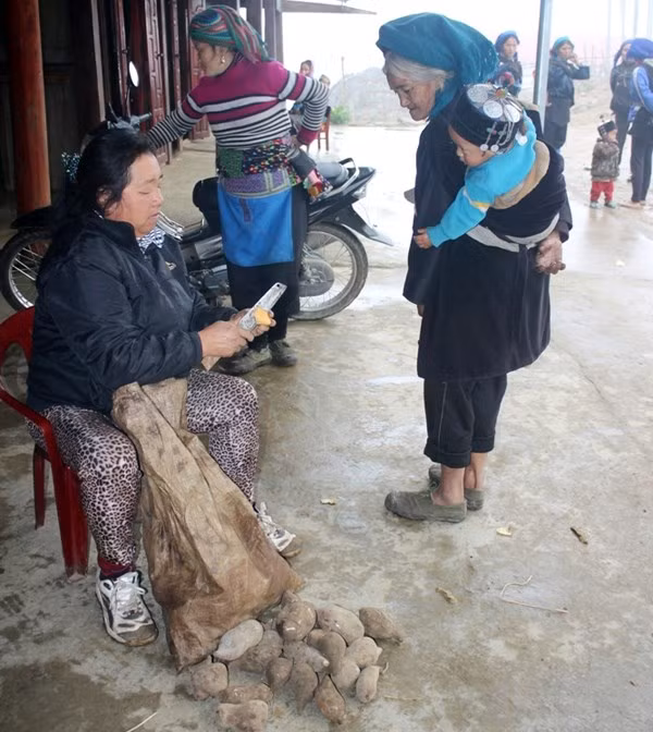 Người dân bán với giá 10.000 đến 20.000 đồng/kg.