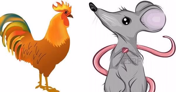 Tuổi Tý: Tuổi Tý phạm Hình Thái Tuế, bản mệnh cẩn thận kẻo vướng họa kiện tụng, tiểu nhân hãm hại, bị phạt tiền, mất việc, bản thân và người nhà sức khỏe có vấn đề…