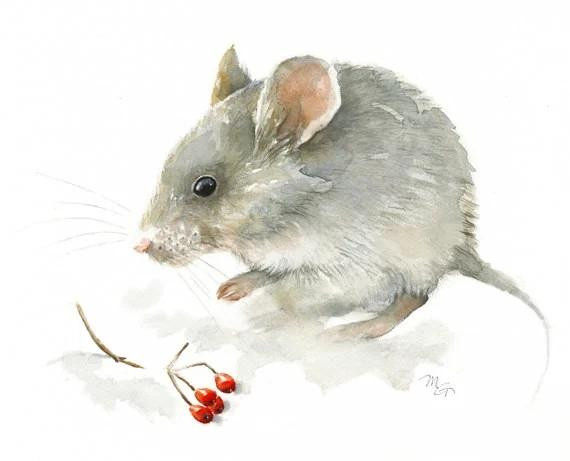 Đa phần lúc tiêu tiền, tuổi Tý đều nhằm vào những mục đích có lợi. Điều này giúp tuổi Tý đạt được những thứ cần thiết, giúp tiền đẻ ra tiền.