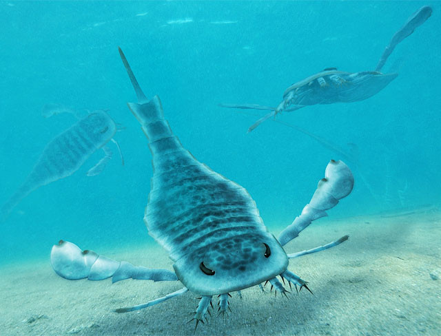 Với kích thước tương đương cá sấu lớn ngày nay, Jaekelopterus rhenaniae là loài săn mồi đáng sợ nhất ở thời đại của chúng. Loài bọ cạp này săn bắt cá và ăn thịt cả đồng loại ở những vùng nước nông gần bờ.