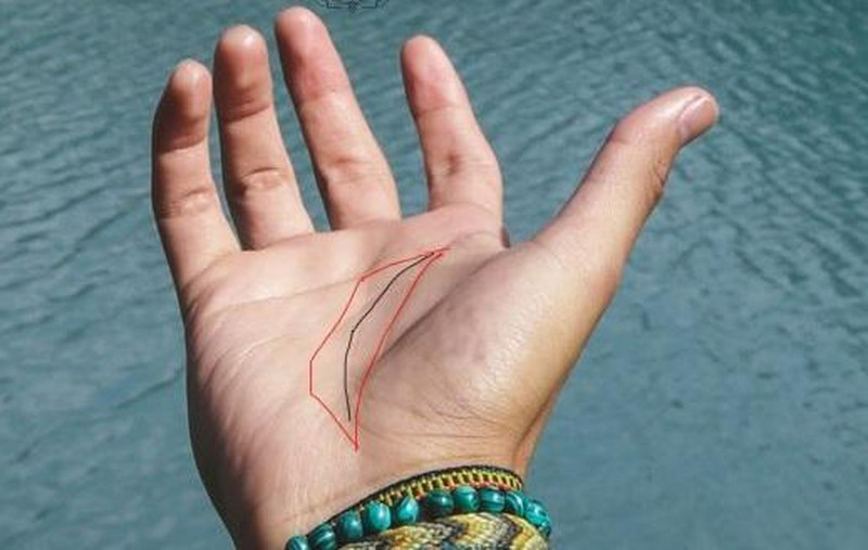 Ngó đường chỉ tay của người tài vận phát, vẩy tay đã có tiền về - Hình 2 Ngo duong chi tay cua nguoi tai van phat, vay tay da co tien ve-Hinh-2