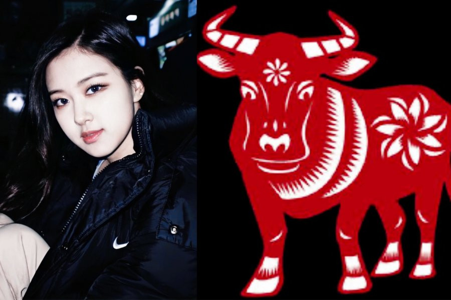 Phụ nữ tuổi Sửu có tính cách đúng như tuổi của họ, cần cù chịu khó, siêng năng, hay lam hay làm mà chẳng kêu than gì.