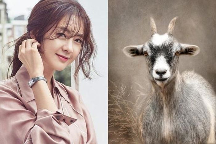 Tử vi trong 6 tháng cuối năm những người tuổi Mùi sẽ là con giáp được thượng đế ban nhiều phúc đức và may mắn, bất kể làm việc gì cũng có quý nhân chiếu cố, thành công trong tầm tay. 