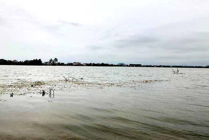 Hang tram ho dan o Thanh Hoa ngap sau trong nuoc lu