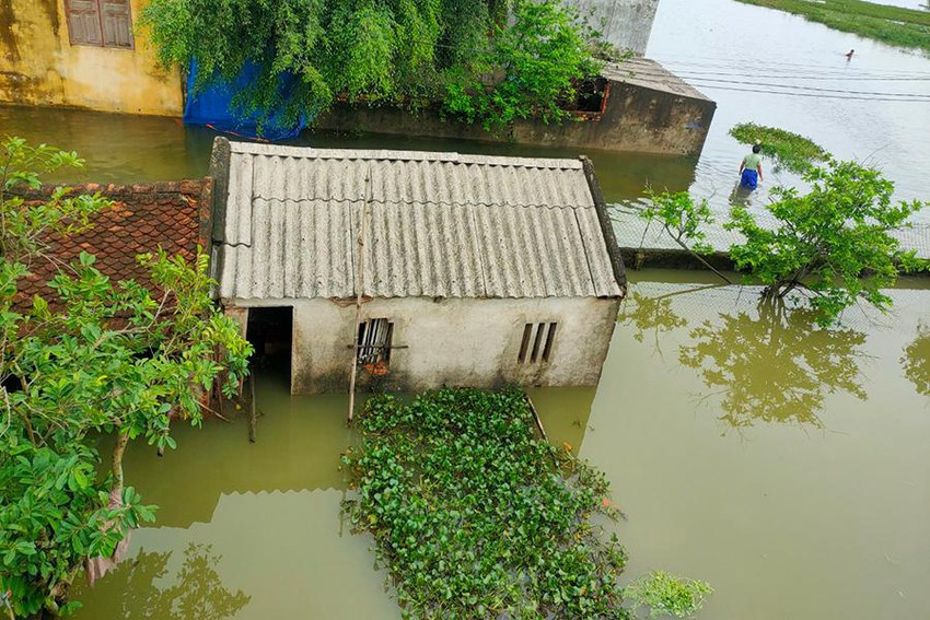 Hang tram ho dan o Thanh Hoa ngap sau trong nuoc lu-Hinh-5