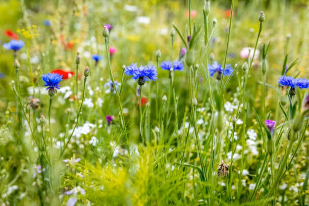 Sinh thang Am lich nay ra cua gap quy nhan, tien bac du da-Hinh-3