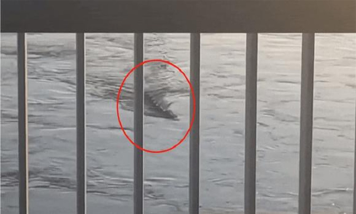 Thuc hu 'quai vat an thit nguoi' trong ho o Trung Quoc