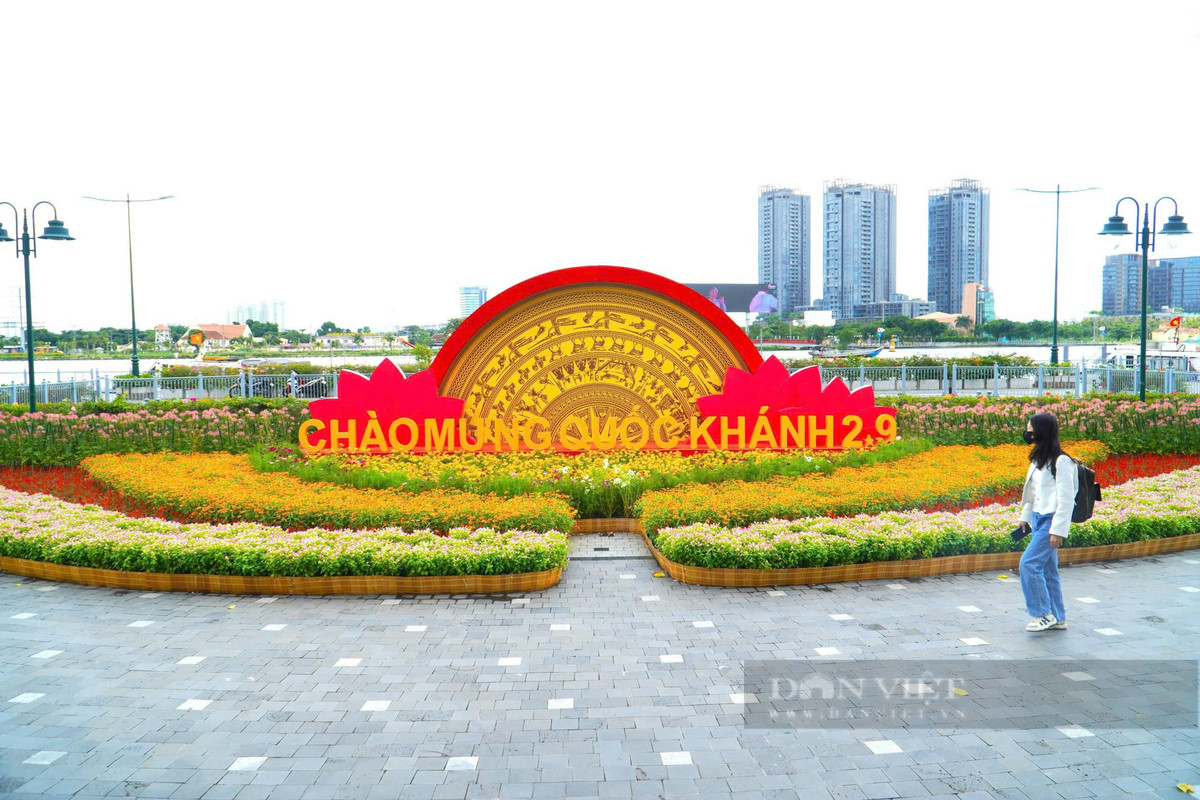 Hình ảnh được phóng viên Dân Việt tại bến Bạch Đằng (quận 1). Ảnh: Chinh Hoàng.