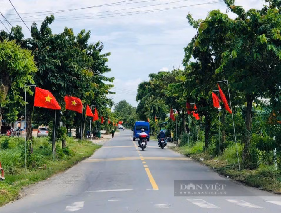 Những con đường rực rỡ cờ hoa tại ngoại thành TP.Hồ Chí Minh. Ảnh: Quang Sung.