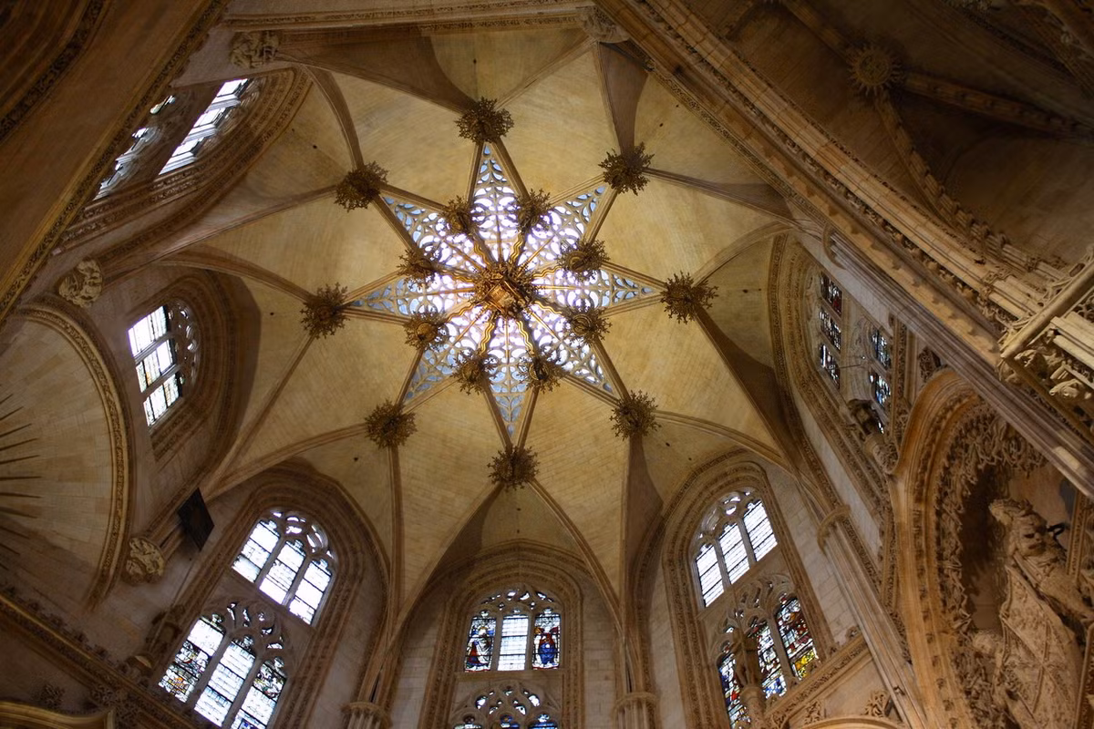 Ảnh: Trevor Huxham.