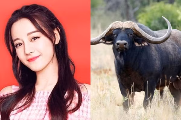  Nữ tuổi Sửu được nhiều người mến mộ, đối xử chân thành với bạn bè đồng thời cũng hay được người khác đáp đền nhiều hơn, phúc lộc đầy nhà. Vậy nên bản mệnh có số giàu sang, trong từng cử chỉ đều đầy sức hút nên sẽ được lòng nhiều người đàn ông giàu có, có năng lực. 