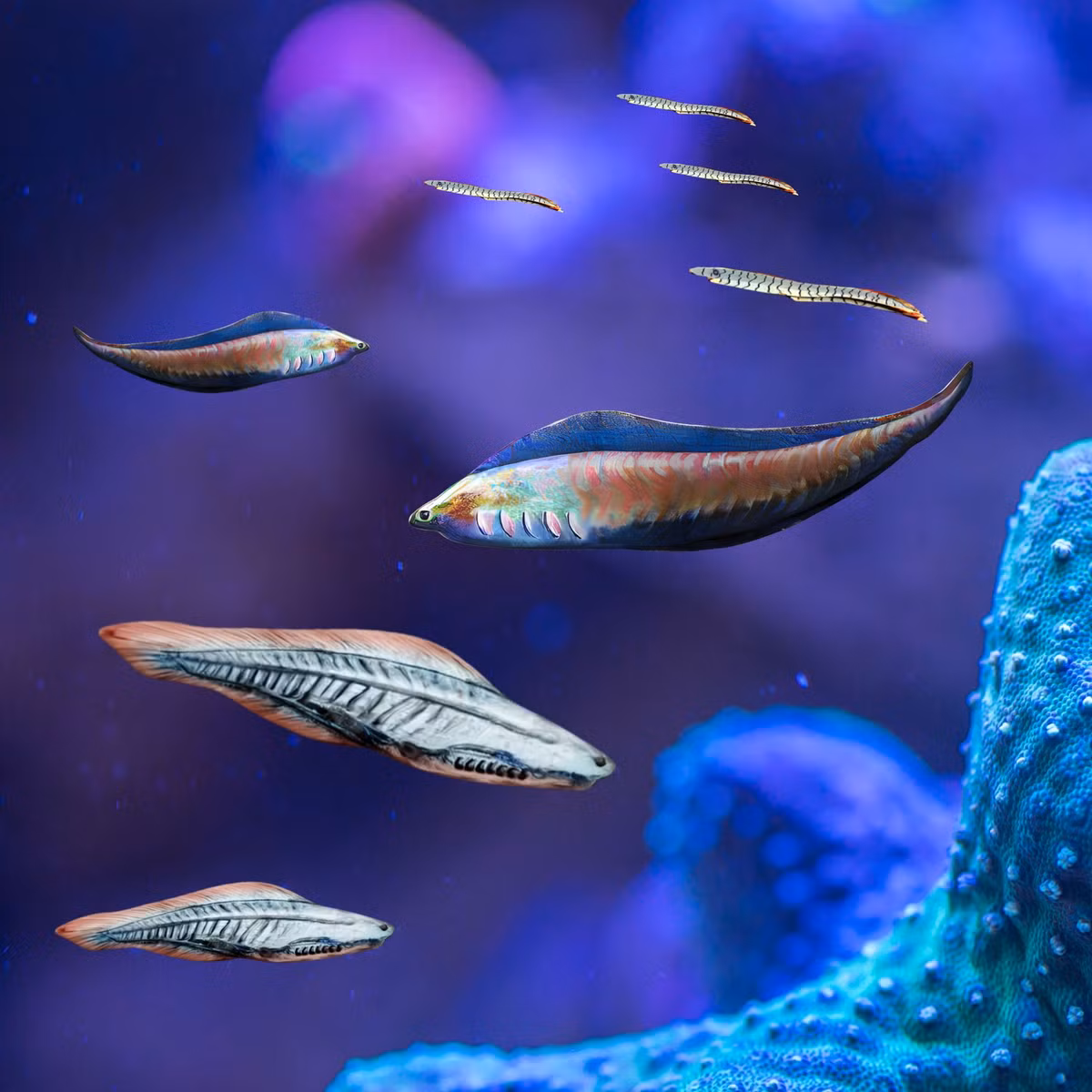 Phat hien 200 con ca bi 'niem phong' trong hoa thach 50 trieu nam