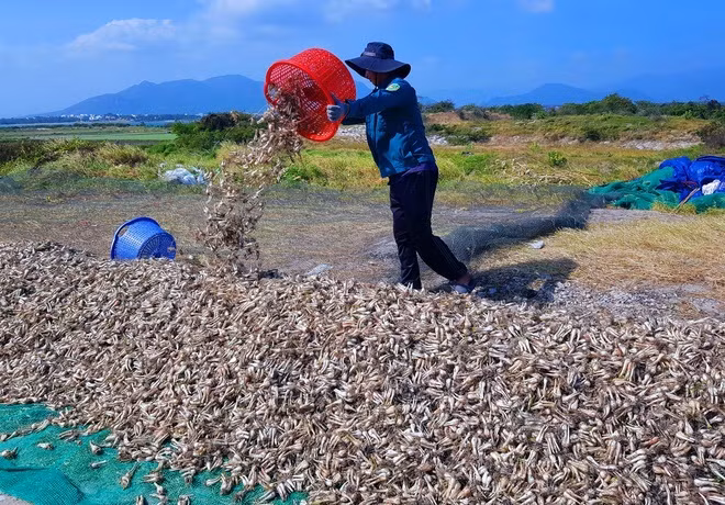 Hai san nha giau re chua tung co, Tet binh dan chon an dac san-Hinh-5