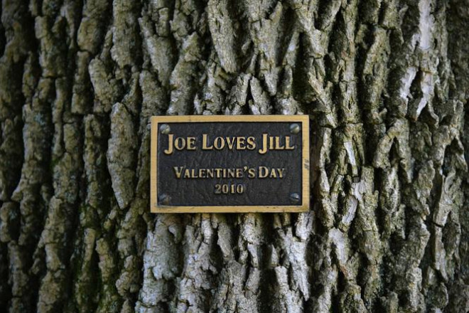 Choáng ngợp kiến trúc dinh thự dành riêng cho Phó Tổng thống Mỹ - Hình 13 Choang ngop kien truc dinh thu danh rieng cho Pho Tong thong My-Hinh-13