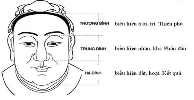 Nhưng ngược lại, với những người thượng đình nhỏ hẹp, lồi lõm không đều hoặc có sẹo ở vùng chân tóc thì người này khó có được thành công khi còn trẻ. 