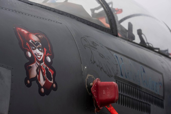 ##s###Mũi tiêm kích F-15E được trang trí với hình ảnh nhân vật Harley Quinn, một nhân vật giả tưởng trong truyện tranh xuất bản bởi DC Comics và được biết đến như là một trong những kẻ thù của siêu anh hùng Batman.