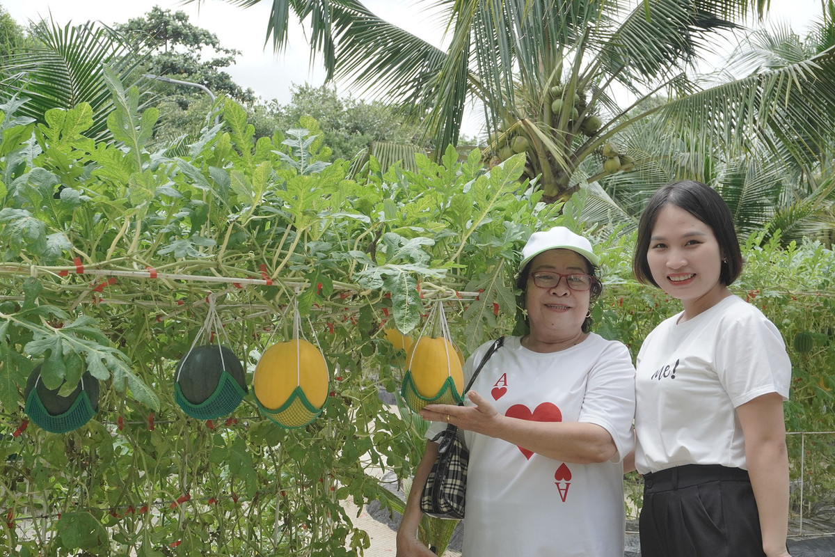 Cô Nhung (đội nón, ngụ TPHCM) chia sẻ: "Tôi thích thú không gian nông trại này. Ở đây không gian xanh mát, thích hợp với người có tuổi như tôi đến tham quan, tận hưởng niềm vui bình dị cuộc sống".