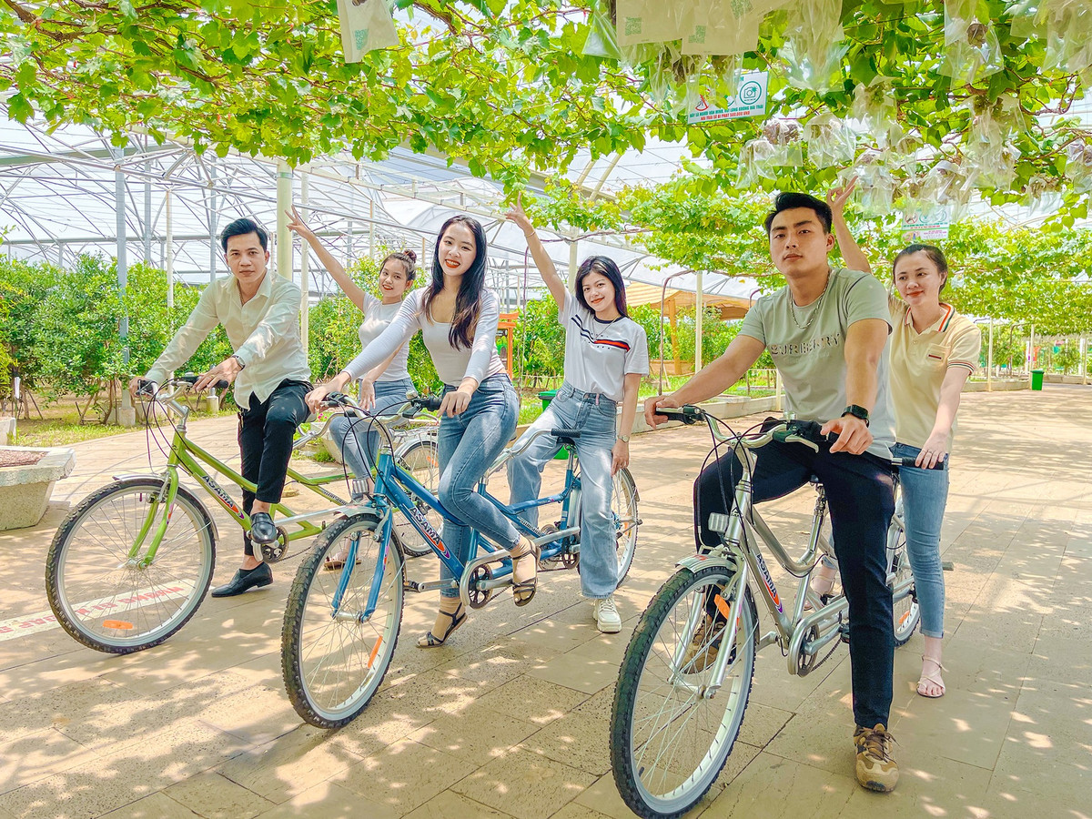 Bạn Phương Thảo ( người đi xe đạp ở giữa, ngụ Bình Dương) cho biết bản thân và nhóm bạn cảm thấy thoải mái khi tới đây. "Vừa gần nhà, vừa được mua nho sạch tại vườn đảm bảo mà không phải đi ra Ninh Thuận như những năm trước. Đến với khu nông trại này, trải nghiệm đạp xe dưới những chùm nho giúp giảm áp lực công việc, được gần gũi với thiên nhiên, tôi như lạc vào một vùng quê chứ không phải đang ở TPHCM ồn ào, náo nhiệt", Thảo chia sẻ.