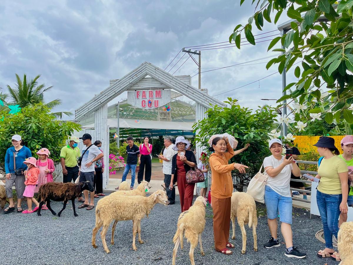 Vào tháng 6/2023, Trung tâm kỷ lục gia Việt Nam đã chính thức xác lập “Suối Tiên Farm là Nông trại trong khu du lịch trồng và chăm sóc các loại trái cây có xuất xứ từ nhiều quốc gia trên thế giới nhất tại Việt Nam".