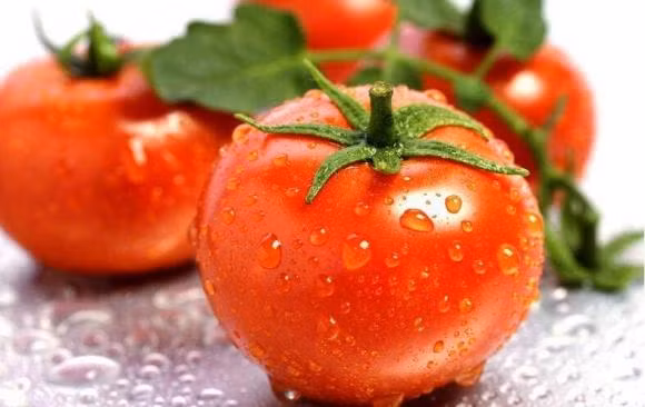 'Ky phung dich thu' cua muop, ca hai tuyet doi khong duoc an cung nhau-Hinh-4