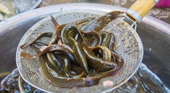 'Ky phung dich thu' cua muop, ca hai tuyet doi khong duoc an cung nhau-Hinh-3