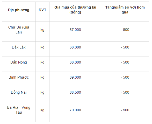 Gia tieu hom nay 12/7: Dong loat giam 500 dong/kg