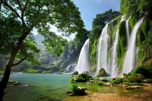 Vào mùa mưa (từ tháng 6 đến tháng 9), thác Bản Giốc mang trong mình vẻ đẹp hùng vĩ, dữ dội. Nước không còn chảy nhẹ nhàng mà đã bắt đầu chảy mạnh và xiết hơn, bọt bắn tung tóe khiến bạn ngỡ như làn mây trời đang lũ lượt kéo về khi mưa đến. Ảnh: Thời báo.