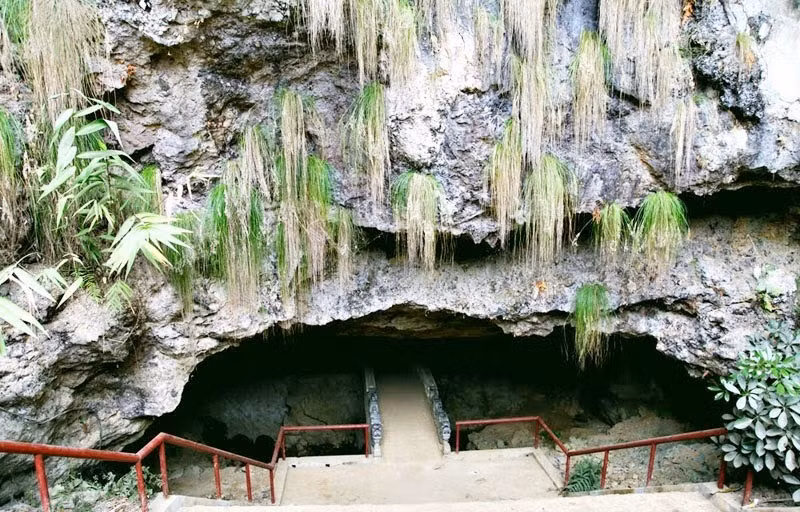 Động Tiên Sơn là động nằm cạnh quốc lộ 4D thuộc địa phận xã Bình Lư, huyện Tam Đường, tỉnh Lai Châu là một trong những địa danh nổi tiếng ở Lai Châu.