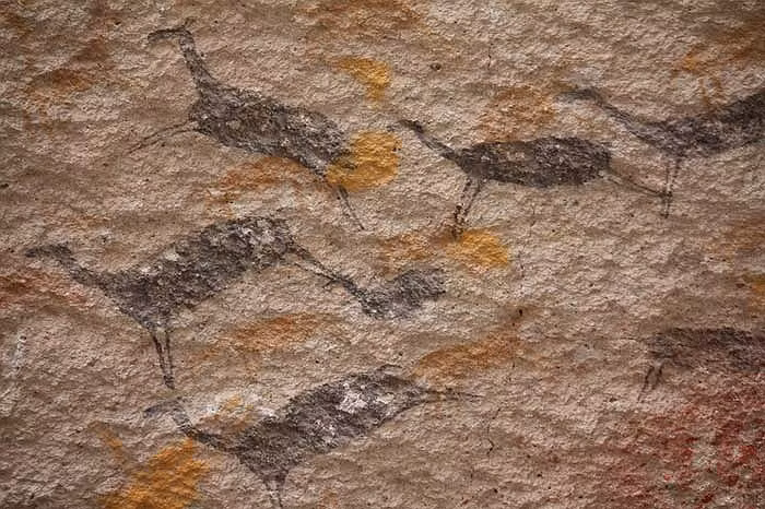 Ngoài các dấu bàn tay, trên vách hang cũng xuất hiện rất nhiều hình vẽ đơn giản về con người và muông thú.