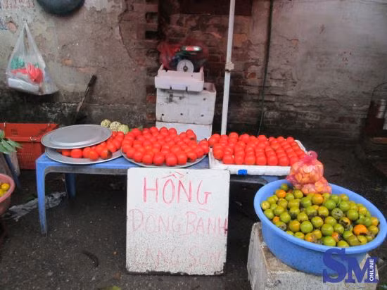 Báo chí từng đưa tin về chất chống thối là hỗn hợp của acid benzoic, acid propenoic và pregn-5-en-2O-ol được tiểu thương dùng để ngâm hoa quả. Trong hỗn hợp này, chỉ có acid benzoic (hoá chất bảo quản) là có trong danh mục được phép sử dụng, còn acid propenoic và pregn-5-en-2O-ol không có trong danh mục được phép sử dụng. Loại quả bị ngâm nhiều nhất chính là hồng đỏ, hay còn gọi là hồng bầu. Ảnh minh họa. Nguồn: Songmoi.vn.