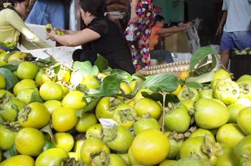 Được biết, thuốc bảo quản thực vật dễ gây ức chế hô hấp, có tác dụng kìm hãm quá trình chín của hoa quả, giúp hoa quả tươi ngon lâu ngày, chậm thối rữa.