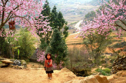 Núi rừng Hà Giang: Nằm ở phía Bắc Việt Nam, Hà Giang là vùng đất khiến bất cứ ai qua đây cũng sẽ bị choáng ngợp bởi cảnh đẹp nơi này. Đoạn đường đẹp nhất trong hành trình đến Hà Giang mà cũng là có thể coi là đẹp nhất thế giới đó là đoạn nối giữa Đồng Văn và Mèo Vạc. Mặc dù đường xá hơi khó đi, nhưng thật bõ công để được ngắm cảnh đẹp của núi rừng Hà Giang. Trên hành trình bạn sẽ thấy thú vị khi bắt gặp những em bé mặc quần áo dân tộc thân thiện chào du khách. Trên lưng mỗi đứa trẻ đeo những chiếc gùi xinh xắn. Đàn ông mặc quần áo đen và đội mũ nồi đen, còn phụ nữ thì mặc những bộ quần áo và quấn khăn sặc sỡ.