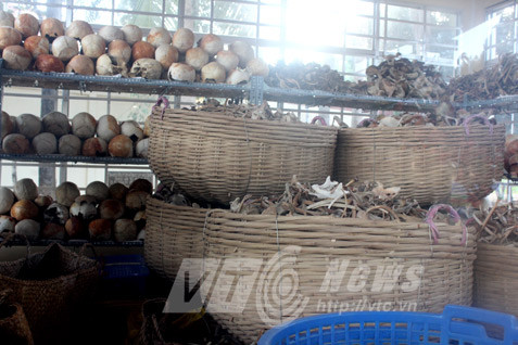 Xương cốt chất chồng trong nhà mồ Ba Chúc.