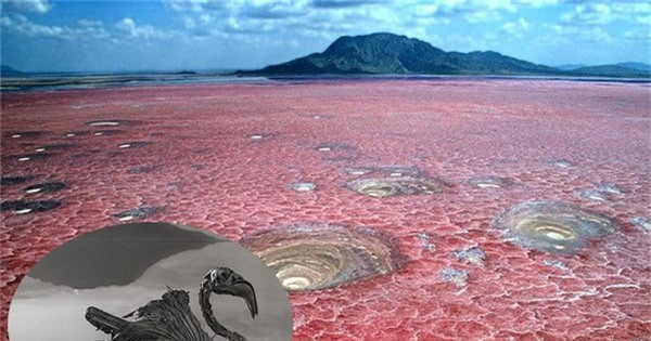 Top 4 hồ nước bí ẩn nhất trên thế giới ảnh 5