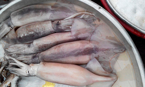 Tại nhiều chợ trên địa bàn TP HCM những ngày qua xuất hiện loại mực "khủng"...