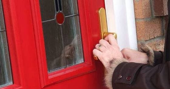 Buoi toi nhin trom co dau phat hien su that vua gian vua then-Hinh-3