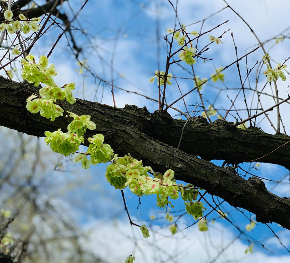 Co dau xinh dep bien mat trong dam cuoi khien chu re suy sup