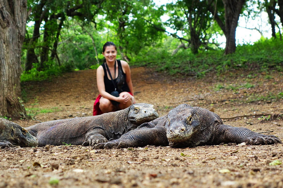 Trong tự nhiên, sự tồn tại của rồng Komodo bị đe dọa do các hoạt động của con người và sự biến đổi khí hậu. Chúng được liệt kê vào danh sách loài Sắp nguy cấp trong Sách Đỏ IUCN.