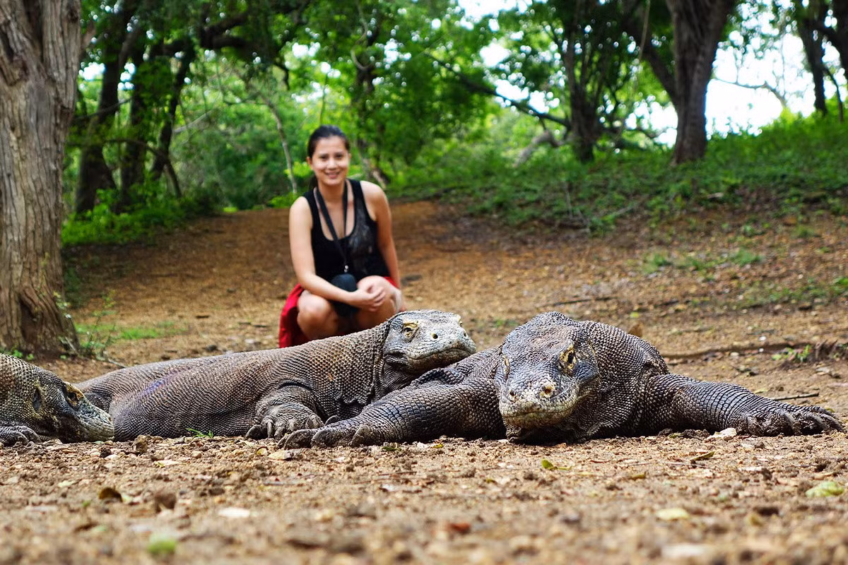 Trong tự nhiên, sự tồn tại của rồng Komodo bị đe dọa do các hoạt động của con người và sự biến đổi khí hậu. Chúng được liệt kê vào danh sách loài Sắp nguy cấp trong Sách Đỏ IUCN.